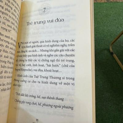 TUỆ TRUNG THƯỢNG SĨ – Nguyễn Thế Đăng – Thiện Tri Thức – NXB Thế Giới