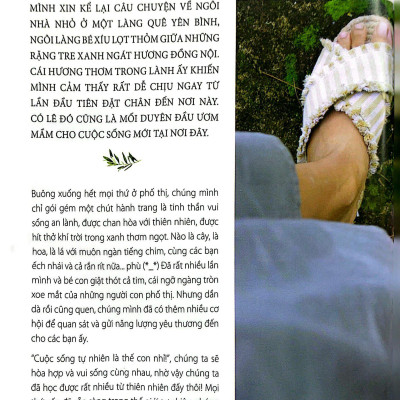 Nếm Vị An Nhiên: Món An Lành Với Tất Cả Yêu Thương