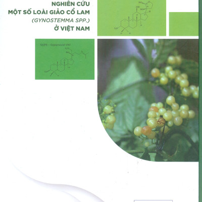 Nghiên Cứu Một Số Loài Giảo Cổ Lam (Gynostemma Spp.) Ở Việt Nam (Bìa cứng, In màu) - GS.TS.NGND. Phạm Thanh Kỳ (Chủ biên), TS. Phan Tuấn Anh, TS. Thân Thị Kiều My, TS. Đinh Thị Thanh Thủy