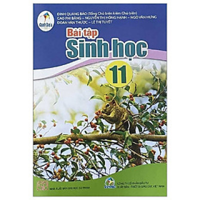 Sách Bài Tập Sinh Học 11- Cánh Diều (Kèm Nilon bọc Sách)
