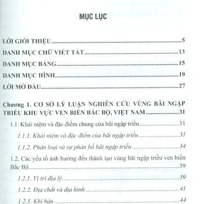 Vùng Bãi Ngập Triều Ven Biển Bắc Bộ - Tiếp Cận Từ Viễn Thám Và Gis (Bộ Sách Chuyên Khảo Biển Và Công Nghệ Biển) (Bìa Cứng) 