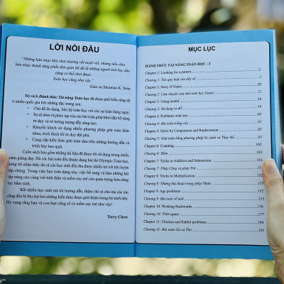 Sách Đánh Thức Tài Năng Toán Học 2, 3, 4 ( Combo 3 Cuốn ) - Tổng hợp kiến thức toán học lớp 2 đến lớp 5, Hiệu sách Genbooks