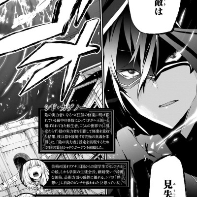 Kage No Jitsuryokusha Ni Naritakute! - The Eminence In Shadow! 10 (Japanese Edition)