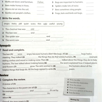 Starlight: Level 5: Workbook