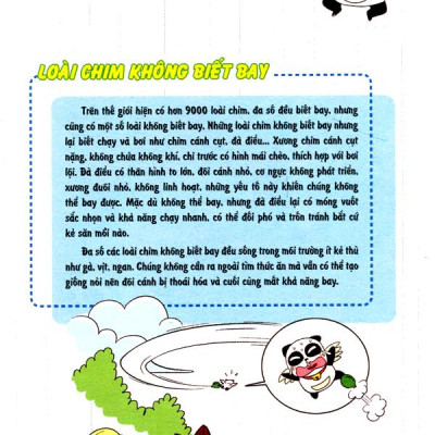 Wow! - Những Bí Mật Kỳ Diệu Dành Cho Học Sinh - Khám Phá Các Loài Chim (Tái Bản 2019)