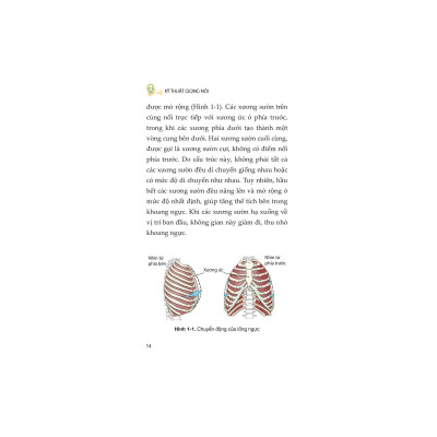 Kỹ Thuật Giọng Nói - Bản Quyền