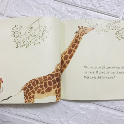 Sách bộ Ehon 6 cuốn - Bé 0-3 tuổi - Có dài không có tuyệt vời không + Mặc được rồi + Cầu trượt thật dài + Kết bạn với tớ nhé + Ngủ ngon nhé chim cánh cụt + Cùng đi ị nào
