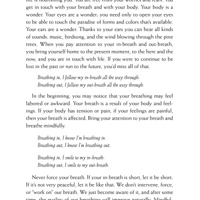 Happiness - Essential Mindfulness Practices