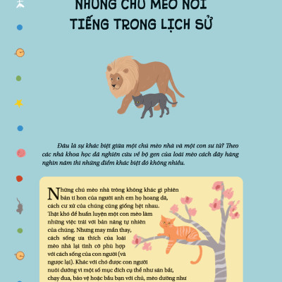 Câu Chuyện Về Loài Mèo