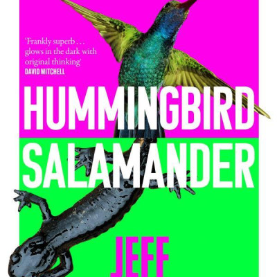 Hummingbird Salamander