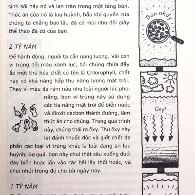 Horrible Science - Sinh Học Có Những Câu Chuyện Kỳ Diệu (Tái Bản)