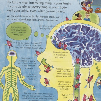 Usborne See Inside Your Head