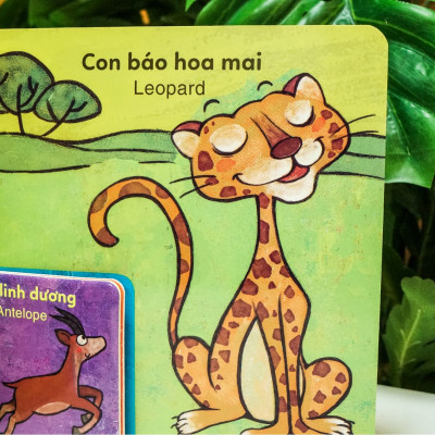 Sách - bộ sách to ôm sách nhỏ dành cho trẻ 3-6 tuổi - Đinh Tị Books