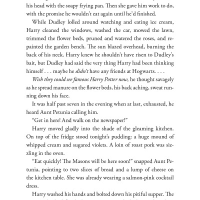 Harry Potter And The Chamber Of Secrets (Harry Potter và Phòng chứa bí mật) (English Book)