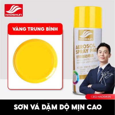 BÌNH XỊT SƠN XÓA VẾT XƯỚC Ô TÔ 400ML CHO VINFAST VF3 MÀU VÀNG (MÃ MÀU 25)