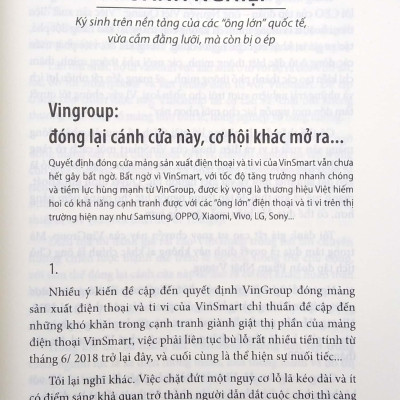 Kỳ Lân Công Nghệ - Giấc Mơ, Hiện Thực & Sự Tan Biến...