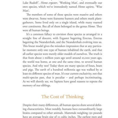 Sapiens : A Brief History of Humankind (Patterns of Life)