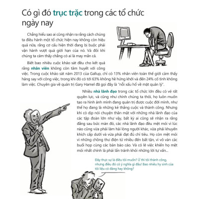 Tái Tạo Tổ Chức: Phá Vỡ Rào Cản, Thổi Bùng Sinh Khí (Tái Bản)