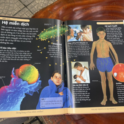 [BÁCH KHOA CHO TRẺ EM] – BÁCH KHOA CƠ THỂ NGƯỜI – MỞ MANG KIẾN THỨC KHƠI DẬY TIỀM NĂNG– tủ sách DK – Đông A – Bìa Cứng in màu toàn bộ