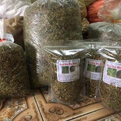 Bông đu đủ đực sấy lạnh xanh đẹp đặc sản Kon Tum