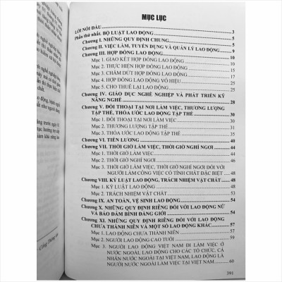 Sách Bộ Luật Lao Động Và Hệ Thống Thang Bảng Lương, Phụ Cấp, Chế Độ Tiền Thưởng Đối Với Người Hưởng Lương Làm Việc Trong Các Cơ Quan, Đơn Vị Và Doanh Nghiệp (V2458T)