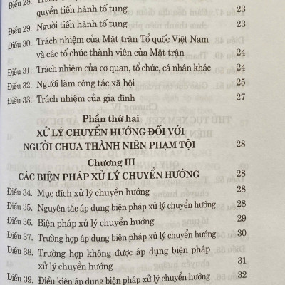 Luật Tư Pháp Người Chưa Thành Niên ( Sửa Đổi, Bổ Sung Năm 2025)