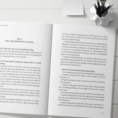 Bộ Luật Lao Động - Được Thông Qua Tại Kỳ Hợp Thứ 8 Quốc Hội Khóa XIV (Bộ Luật Số 45/2019/QH 14 Kỳ Họp Thứ 8 Thông Qua Ngày 20/11/2019)