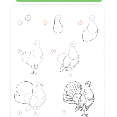 365 Ngày Luyện Vẽ Thế Giới Động Vật (MGB)