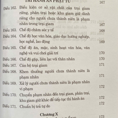 Luật Tư Pháp Người Chưa Thành Niên ( Sửa Đổi, Bổ Sung Năm 2025)