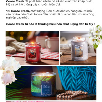 Nến ly 3 bấc Aromatherapy Goose Creek (411g) - Honey & Wildflower