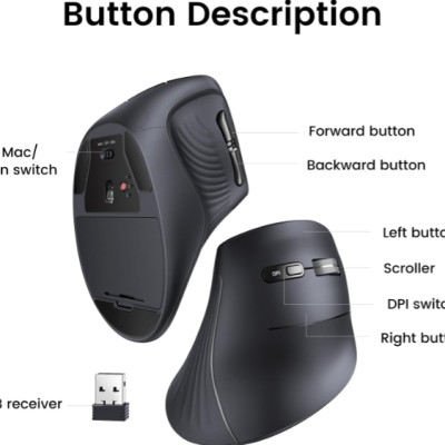 Chuột công thái học Ugreen 25444 MU008, Bluetooth 5.0 + USB Receiver 2.4GHz, DPI 1000/1600/2000/4000 - Hàng chính hãng