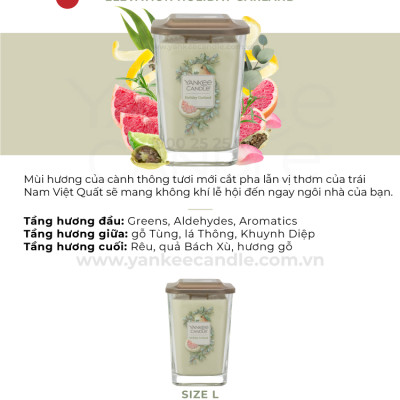 Nến ly vuông Elevation size L - Holiday Garland (552g)