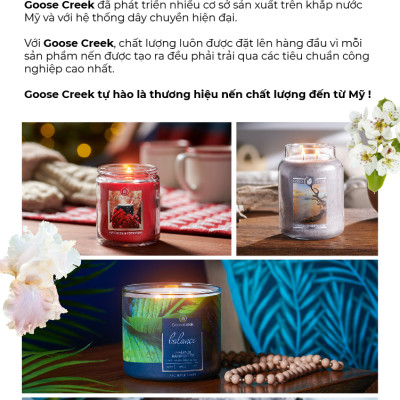 Nến ly 3 bấc sáp đậu nành For Men Goose Creek (411g) - Fresh & Clean