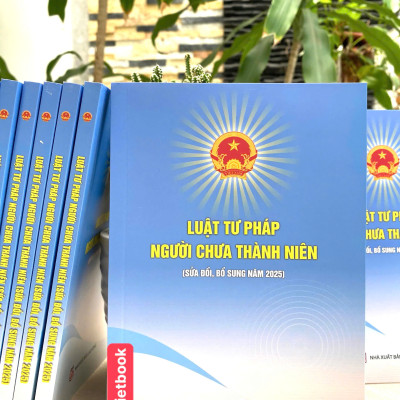 Luật Tư Pháp Người Chưa Thành Niên ( Sửa Đổi, Bổ Sung Năm 2025)