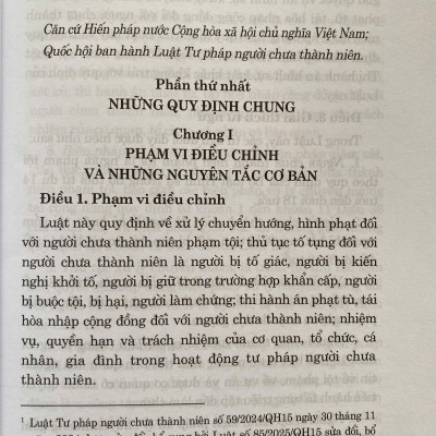 Luật Tư Pháp Người Chưa Thành Niên ( Sửa Đổi, Bổ Sung Năm 2025)