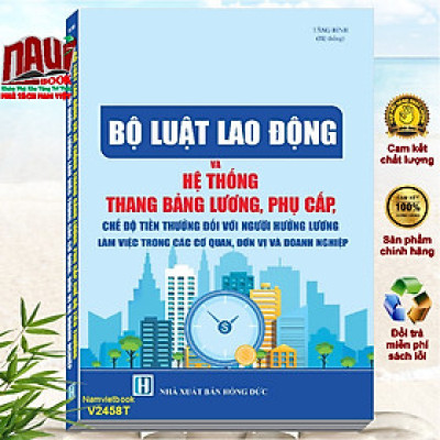 Sách Bộ Luật Lao Động Và Hệ Thống Thang Bảng Lương, Phụ Cấp, Chế Độ Tiền Thưởng Đối Với Người Hưởng Lương Làm Việc Trong Các Cơ Quan, Đơn Vị Và Doanh Nghiệp (V2458T)