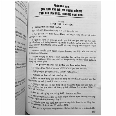 Sách Bộ Luật Lao Động Và Hệ Thống Thang Bảng Lương, Phụ Cấp, Chế Độ Tiền Thưởng Đối Với Người Hưởng Lương Làm Việc Trong Các Cơ Quan, Đơn Vị Và Doanh Nghiệp (V2458T)