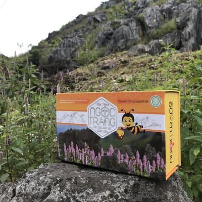 Mật ong bạc hà đồng văn - Ngọc Trang