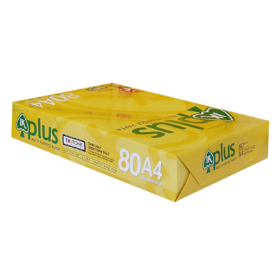 Thùng 5 Ream Giấy In Photo A4 IK Plus DL 80gsm