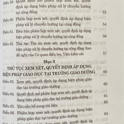 Luật Tư Pháp Người Chưa Thành Niên ( Sửa Đổi, Bổ Sung Năm 2025)