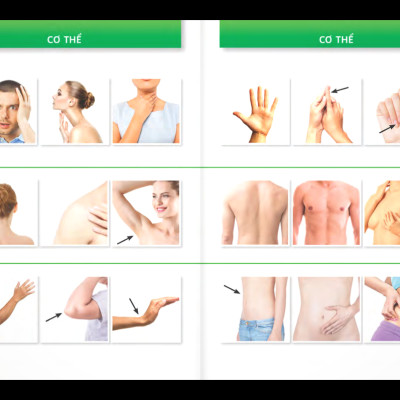 Trò Chuyện Khi Đi Du Lịch 100% Bằng Hình