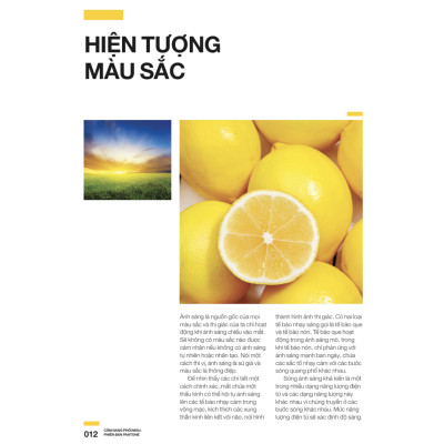 Cẩm Nang Phối Màu Phiên bản Pantone