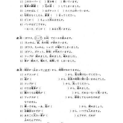 Tiếng Nhật Cho Mọi Người - Trình Độ Sơ Cấp 2 - Tổng Hợp Các Bài Tập Chủ Điểm (Bản Mới) - TRẺ