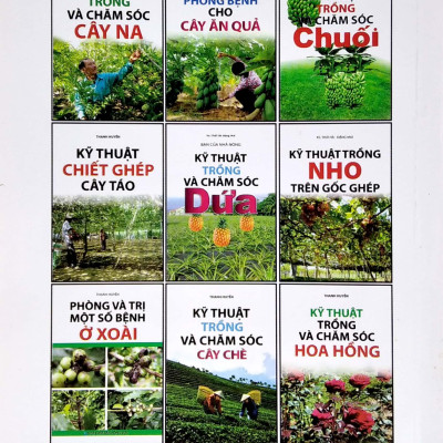 Kỹ Thuật Trồng Dâu Tây