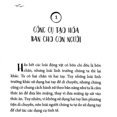Thay Đổi Vận Mệnh Từ Bàn Tay: Cân Bằng Năng Lượng Thông Qua Chỉ Tay - Luân Xa Và Phép Thủ Ấn