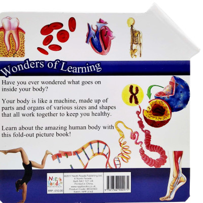 Wonder Of Learning - My Fold-Out Book Of The Human Body