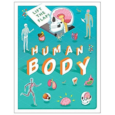 Lift The Flaps: Human Body (Discovery Lift The Flaps)
