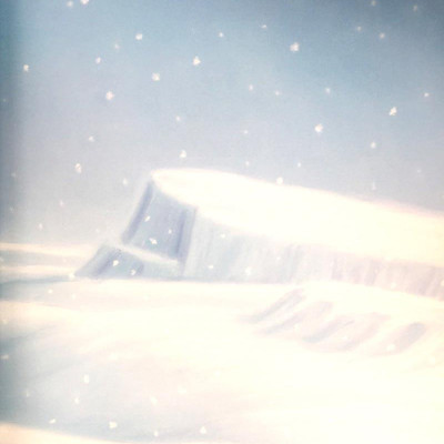 Where Snowflakes Fall