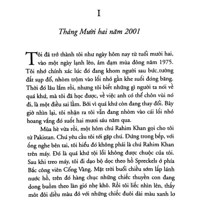 Người Đua Diều