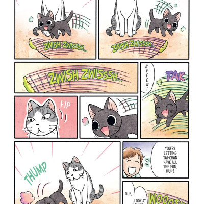 Sue & Tai-chan 2 (Graphic Novels)